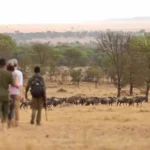 Are Uganda and Kenya Safe for Tourists