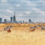 Can I see wildlife in Nairobi city?