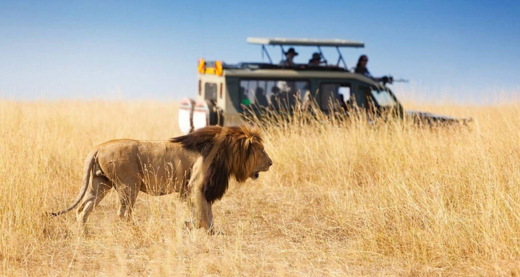 Can a Safari Start Directly from Nairobi