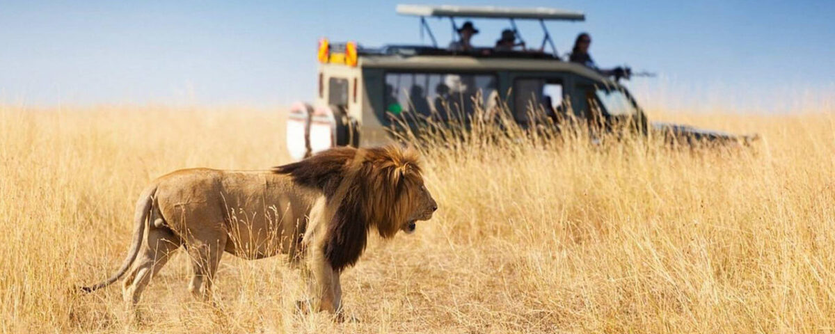 Can a Safari Start Directly from Nairobi