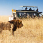 Can a Safari Start Directly from Nairobi