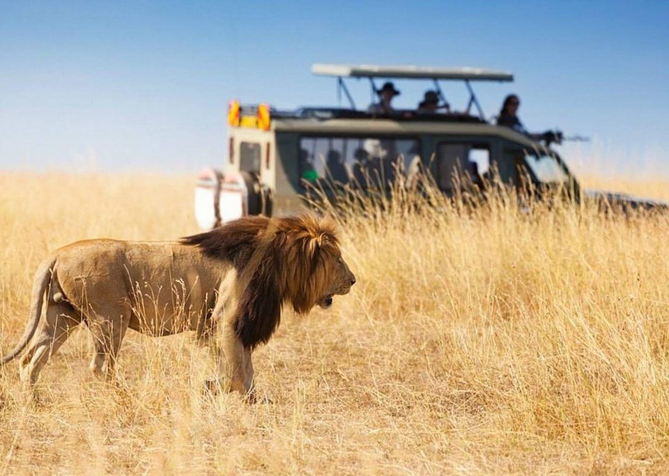 Can a Safari Start Directly from Nairobi