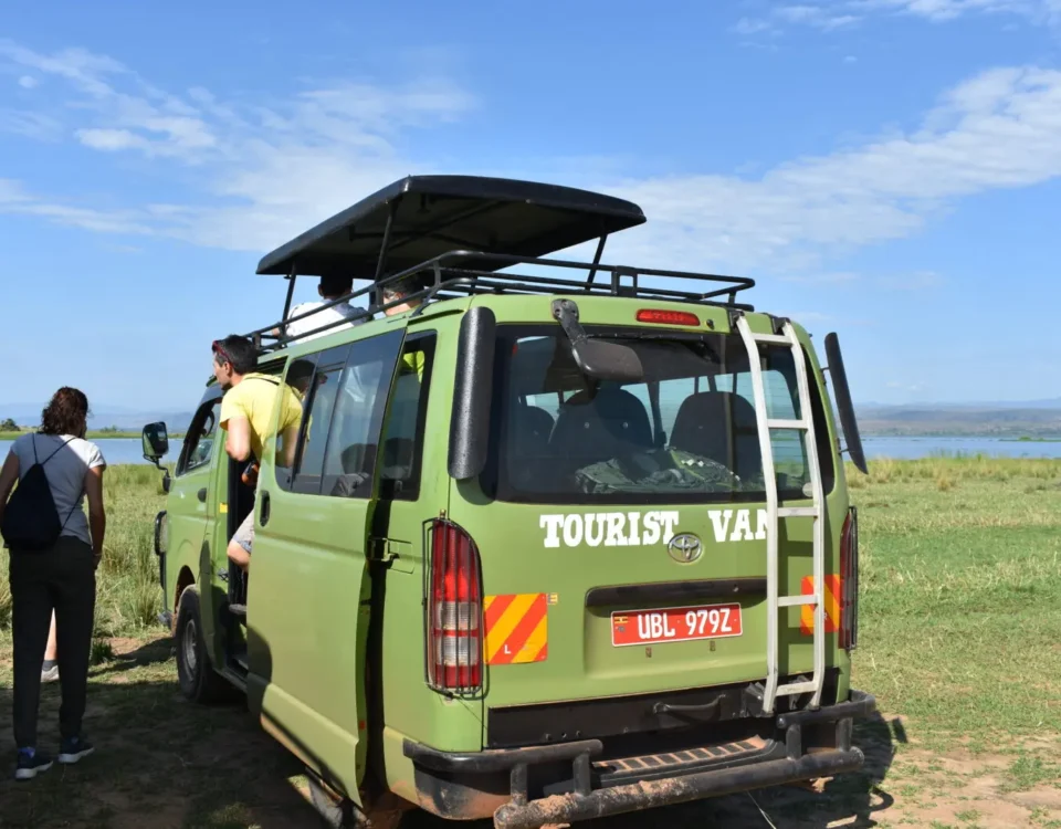 Car Rental For A Safari in Fort Portal Uganda