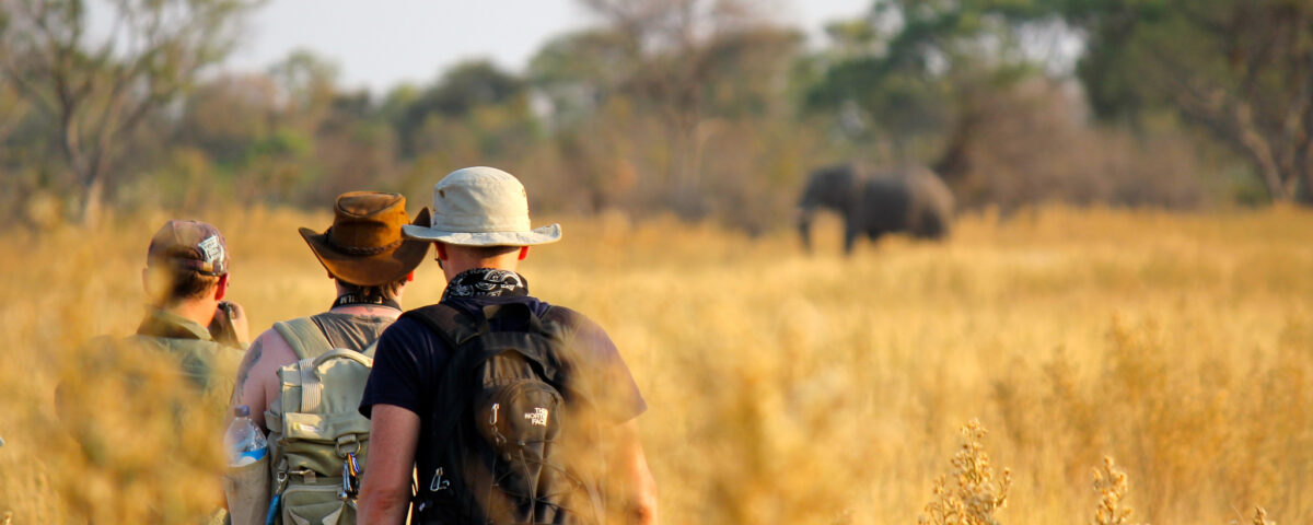 Is it safe to stay inside national parks during Safaris?