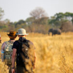 Is it safe to stay inside national parks during Safaris?