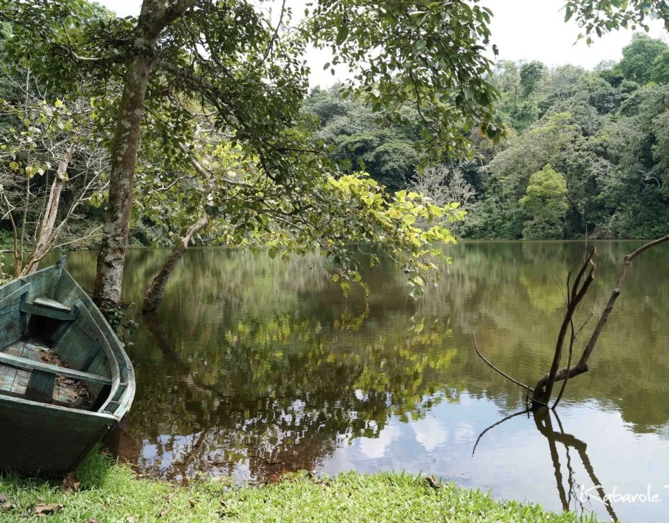 What activities can I do around Fort Portal?