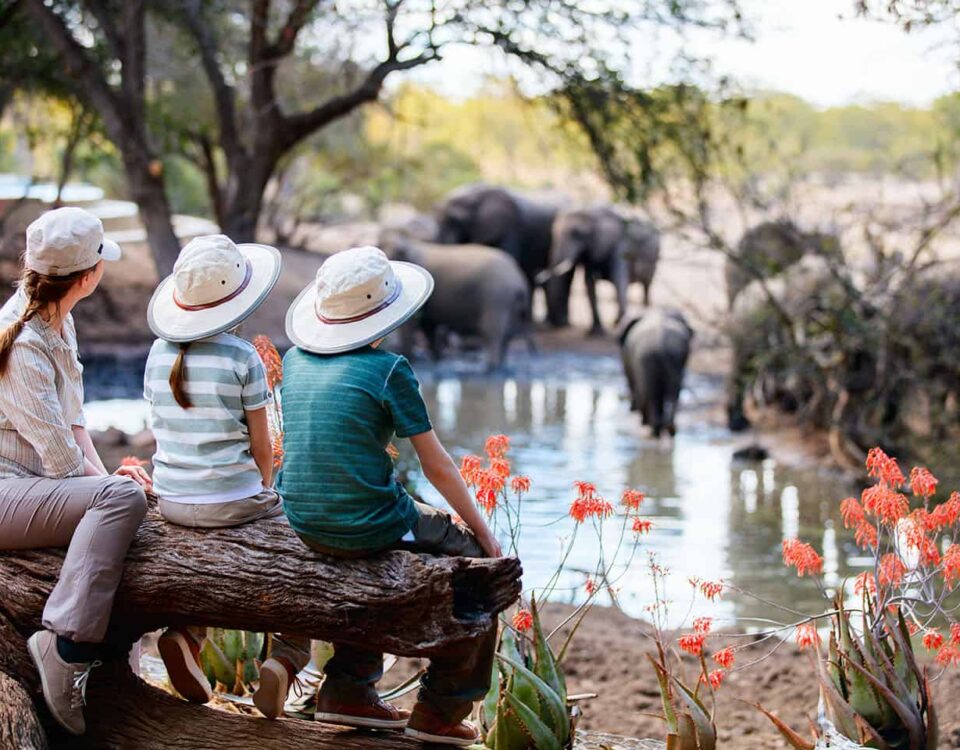 6-Day Tanzania Family Safari