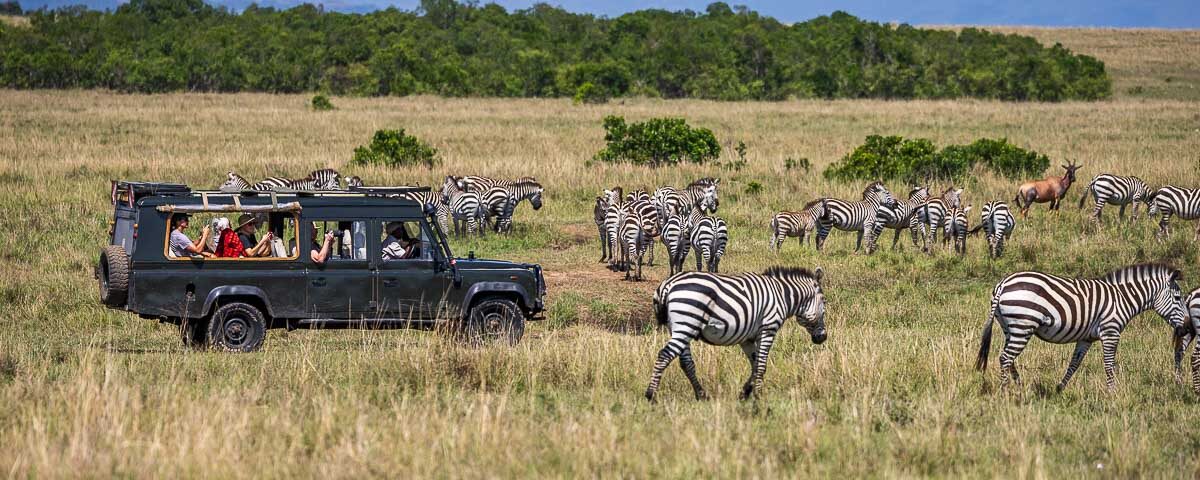 How Many People Share One Safari Vehicle?