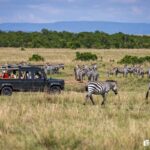 How Many People Share One Safari Vehicle?