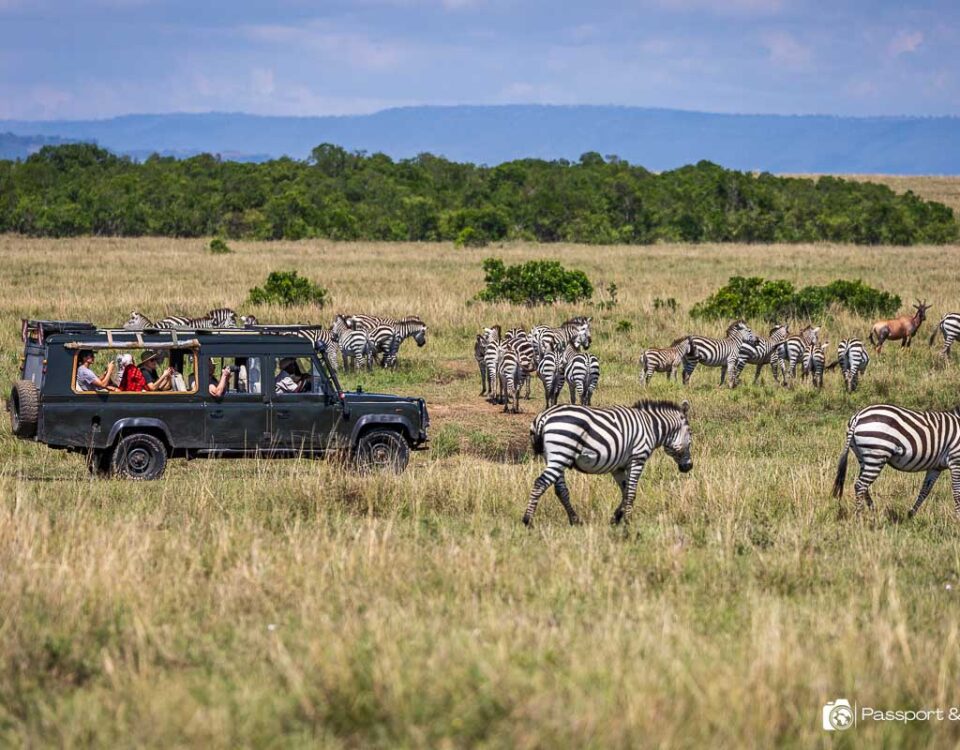 How Many People Share One Safari Vehicle?