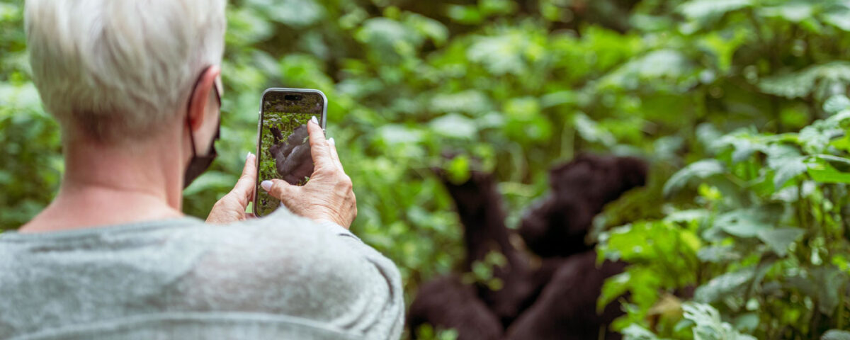 Is Gorilla Habituation Physically Demanding