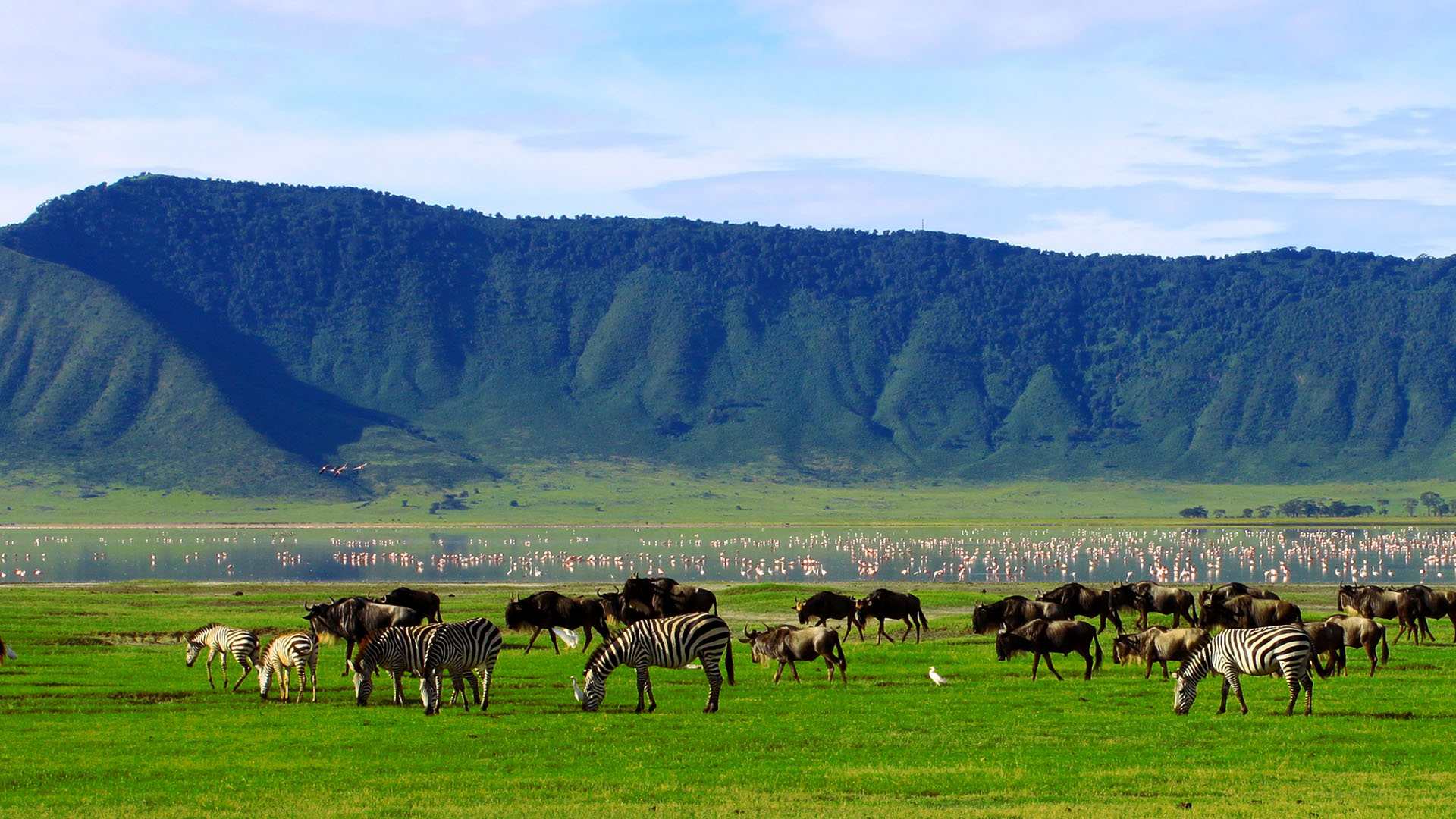 Ngorongoro Conservation Area