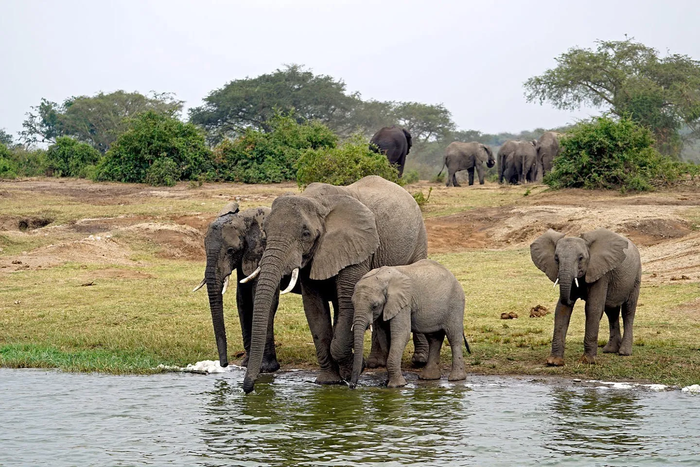9 Days Uganda Safari Tour