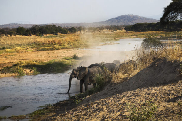 Ruaha National Park