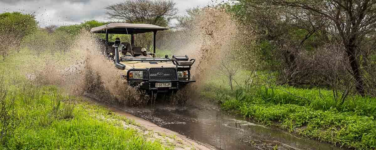 What Happens If It Rains During a Game Drive?