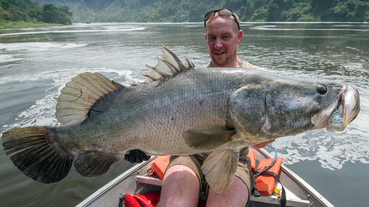 Sport Fishing in Murchison Falls National Park