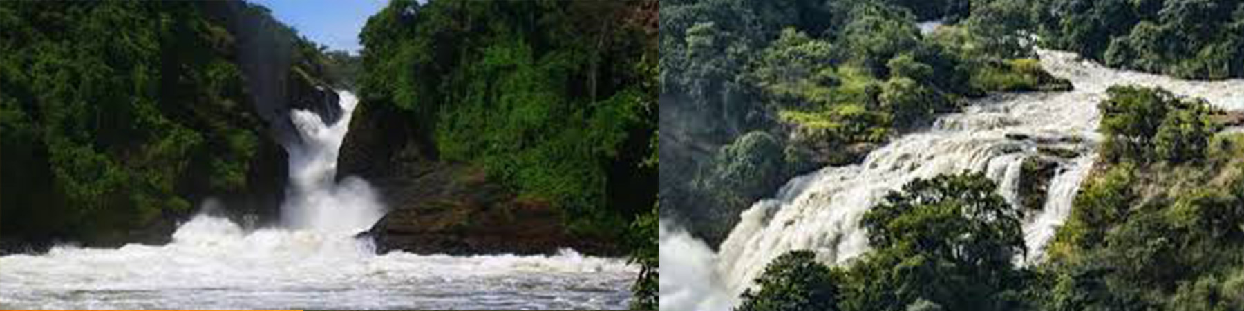 Best time to visit Murchison falls national park