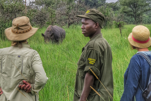 Small Group Safaris