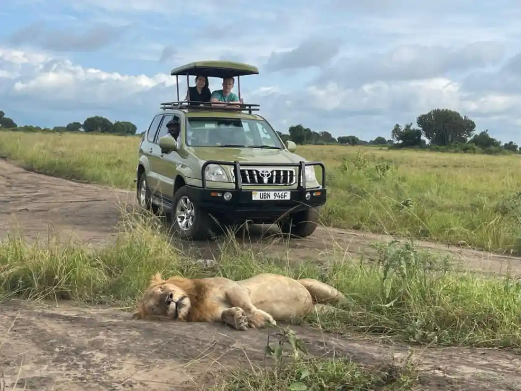 Self-Drive Safari In Murchison Falls National Park